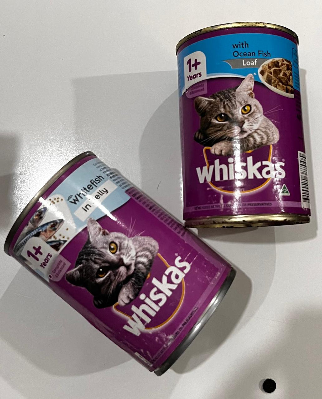 Whiskas Jelly Can 400g
